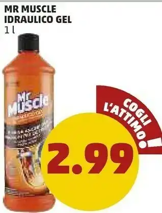 PENNY Idraulico gel offerta