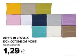 Oasi Ospite in spugna 100% cotone cm 40x65 offerta