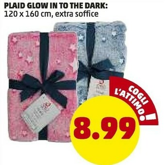 PENNY Plaid offerta
