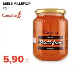 Tigre Consilia miele millefiori offerta