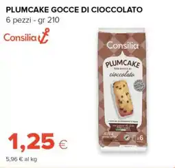 Tigre Consilia plumcake gocce di cioccolato offerta