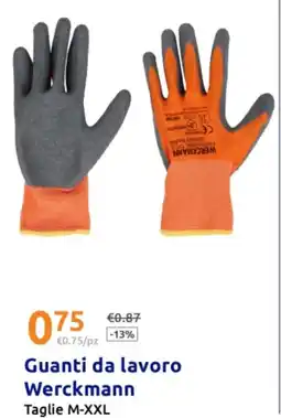 Action Guanti da lavoro Werckmann offerta
