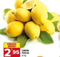Iperal Limoni foglia offerta