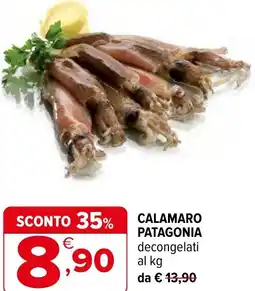 Iperal Calamaro patagonia decongelati offerta