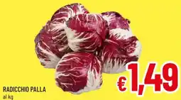 A&O Radicchio palla offerta