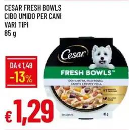 IperFamila Cesar fresh bowls cibo umido per cani offerta