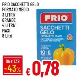 IperFamila Frio sacchetti gelo formato medio/ grande maxi offerta