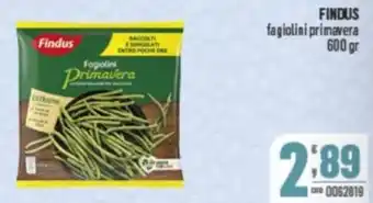 Gruppo di Palo FINDUS fagiolini primavera offerta