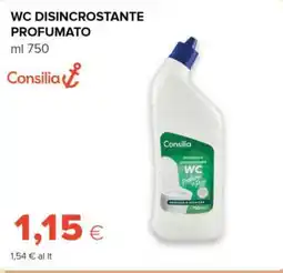 Tigre Consilia wc disincrostante profumato offerta