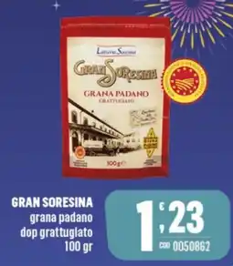 Gruppo di Palo GRAN SORESINA grana padano dop grattuglato offerta