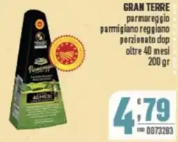 Gruppo di Palo GRAN TERRE parmareggio parmigiano reggiano porzionato dop oltre 40 mesi offerta