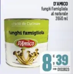 Gruppo di Palo D'AMICO funghi famigliola al naturale offerta