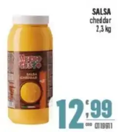 Gruppo di Palo SALSA cheddar offerta