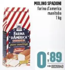 Gruppo di Palo MOLINO SPADONI farina d'america manitoba offerta