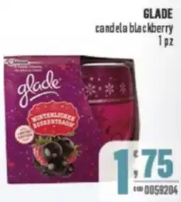 Gruppo di Palo GLADE candela blackberry offerta