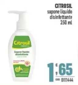 Gruppo di Palo CITROSIL sapone liquido disinfettante offerta