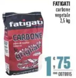 Gruppo di Palo FATIGATI carbone vegetale offerta