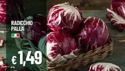 Galassia Radicchio palla offerta