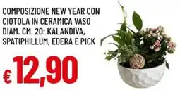 Galassia Composizione new year con ciotola in ceramica vaso diam. cm. 20: kalandiva, spatiphillum, edera e pick offerta