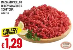 Galassia Macinato scelto di bovino adulto scottona offerta