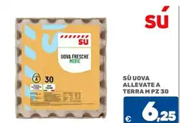 C+C Cash and Carry SÙ uova allevate a terra m offerta