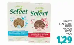 Eté Select lenticchie medie mignon rosse offerta