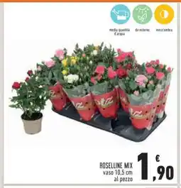 Conad ROSELLINE MIX offerta
