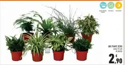 Conad MIX PIANTE VERDI offerta