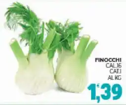 Eté Finocchi offerta