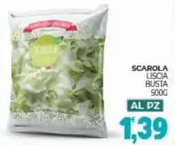 Eté Scarola liscia busta offerta