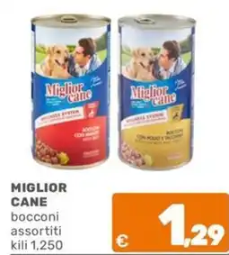 C+C Cash and Carry MIGLIOR CANE bocconi kili 1,250 offerta