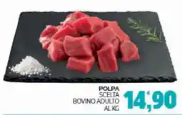 Eté Polpa scelta bovino adulto offerta
