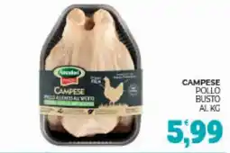 Eté Campese pollo busto offerta