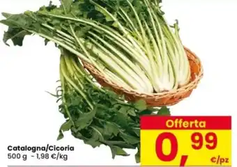 Catalogna/Cicoria