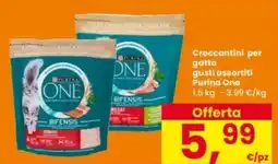 Interspar Croccantini per gatto Purina One offerta