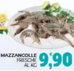 Eté Mazzancolle fresche offerta