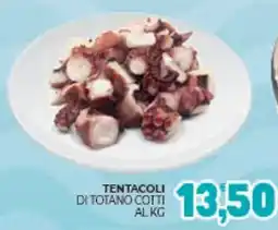 Eté Tentacoli di totano cotti offerta