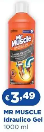 Acqua & Sapone MR MUSCLE Idraulico Gel offerta