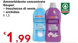 DeSpar Express Ammorbidente concentrato Despar offerta