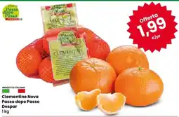 Eurospar Clementine Nova Passo dopo Passo Despar offerta