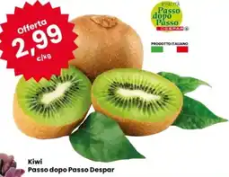 Eurospar Kiwi Passo dopo Passo Despar offerta