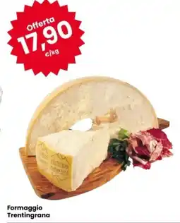 Eurospar Formaggio Trentingrana offerta