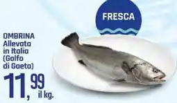 Famila Superstore OMBRINA Allevata in Italia (Golfo di Gaeta) offerta