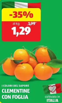 ALDI I colori del sapore clementine con foglia offerta