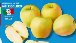 ALDI I colori del sapore mele golden offerta
