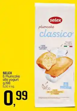 Famila Superstore SELEX 6 Plumcake allo yogurt offerta