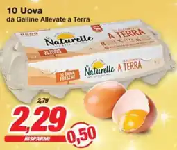 Prix Quality 10 Uova da Galline Allevate a Terra offerta