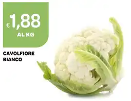Ekom Cavolfiore bianco offerta