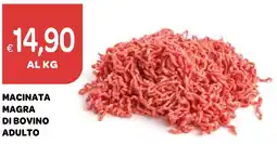 Ekom Macinata magra di bovino adulto offerta