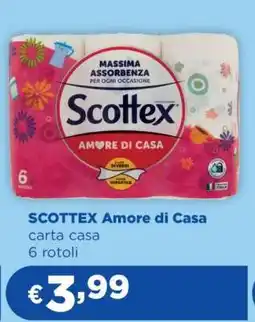 Acqua & Sapone SCOTTEX Amore di Casa offerta